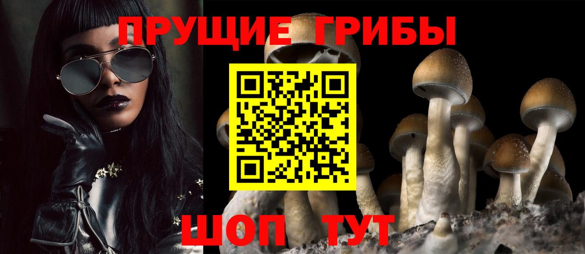 Галлюциногенные грибы MAGIC MUSHROOMS Лениногорск